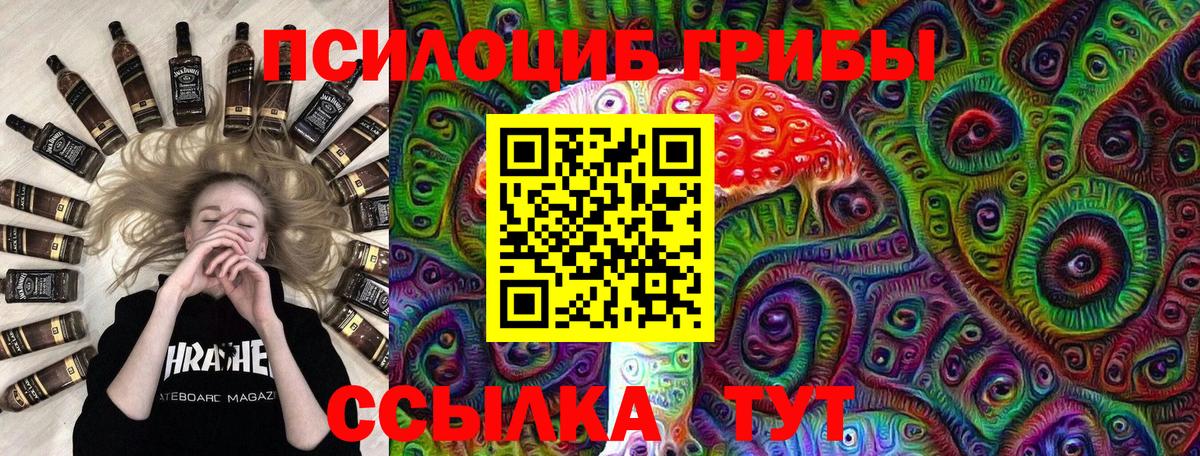 Асбест  Псилоцибиновые грибы Cubensis  Вход с VPN 